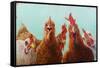 Chicken for Dinner-Lucia Heffernan-Framed Stretched Canvas