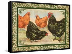 Chicken II-null-Framed Stretched Canvas