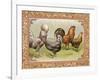 Chicken III-null-Framed Art Print