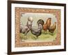 Chicken III-null-Framed Art Print