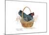 Chicken in a Basket-Robert A^ Fleming-Mounted Art Print