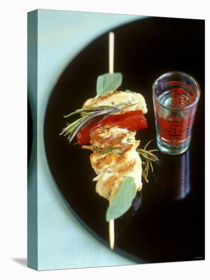 Chicken Kebab and Asian Drink-Jean Cazals-Stretched Canvas