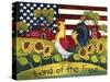 Chicken, Land of the Free-Laurie Korsgaden-Stretched Canvas