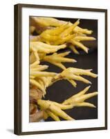 Chicken Legs Displayed in Market, Cuzco, Peru-Merrill Images-Framed Photographic Print