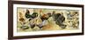 Chicken, Rooster, Turkey and Other Fred Birds.-null-Framed Giclee Print