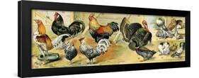 Chicken, Rooster, Turkey and Other Fred Birds.-null-Framed Giclee Print