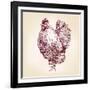 Chicken Vintage Hand Drawn Vector Illustration-VladisChern-Framed Art Print