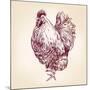 Chicken Vintage Hand Drawn Vector Illustration-VladisChern-Mounted Art Print