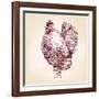 Chicken Vintage Hand Drawn Vector Illustration-VladisChern-Framed Art Print