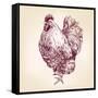 Chicken Vintage Hand Drawn Vector Illustration-VladisChern-Framed Stretched Canvas