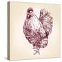 Chicken Vintage Hand Drawn Vector Illustration-VladisChern-Stretched Canvas