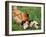 Chicken with Babies-Xilius-Framed Photographic Print