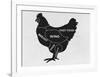 Chicken-null-Framed Giclee Print