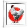 Chicken-Charles Bull-Framed Giclee Print