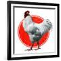 Chicken-Charles Bull-Framed Giclee Print