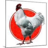 Chicken-Charles Bull-Mounted Giclee Print