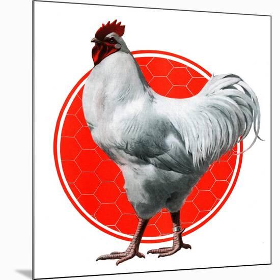 Chicken-Charles Bull-Mounted Giclee Print