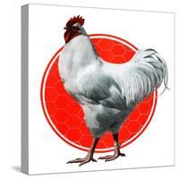 Chicken-Charles Bull-Stretched Canvas