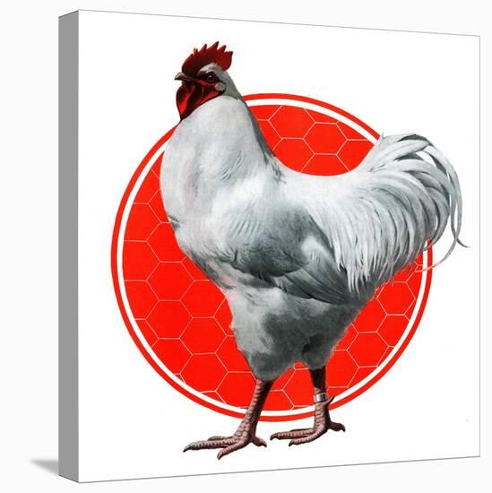 Chicken-Charles Bull-Stretched Canvas