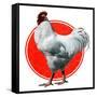 Chicken-Charles Bull-Framed Stretched Canvas