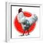 Chicken-Charles Bull-Framed Premium Giclee Print