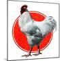 Chicken-Charles Bull-Mounted Premium Giclee Print