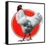 Chicken-Charles Bull-Framed Stretched Canvas