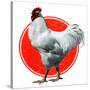 Chicken-Charles Bull-Stretched Canvas