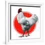 Chicken-Charles Bull-Framed Giclee Print