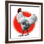 Chicken-Charles Bull-Framed Giclee Print