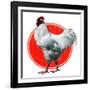 Chicken-Charles Bull-Framed Giclee Print