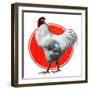 Chicken-Charles Bull-Framed Giclee Print