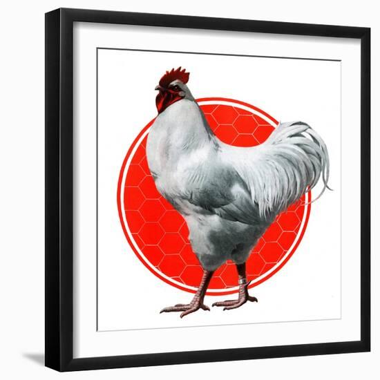 Chicken-Charles Bull-Framed Giclee Print