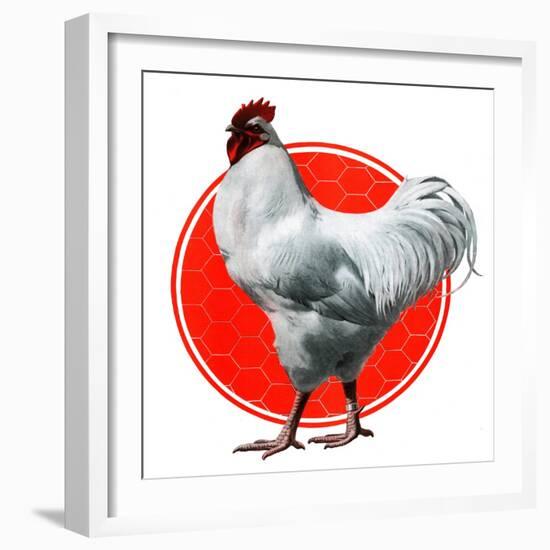 Chicken-Charles Bull-Framed Giclee Print