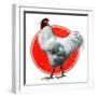 Chicken-Charles Bull-Framed Giclee Print