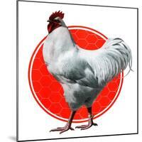 Chicken-Charles Bull-Mounted Giclee Print