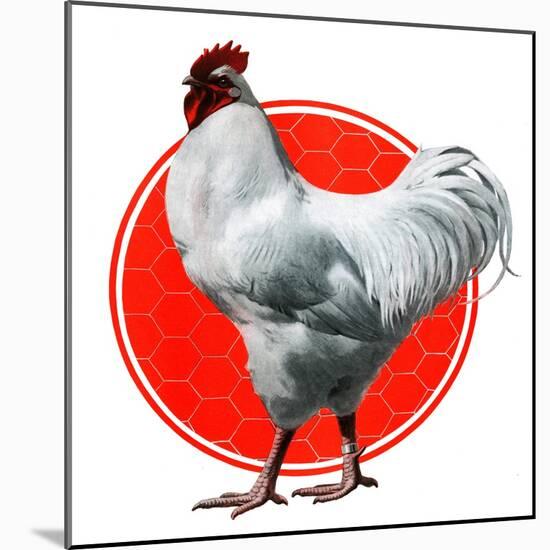 Chicken-Charles Bull-Mounted Giclee Print
