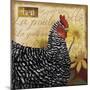 Chicken-Fiona Stokes-Gilbert-Mounted Premium Giclee Print