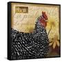 Chicken-Fiona Stokes-Gilbert-Framed Stretched Canvas