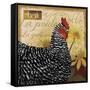 Chicken-Fiona Stokes-Gilbert-Framed Stretched Canvas