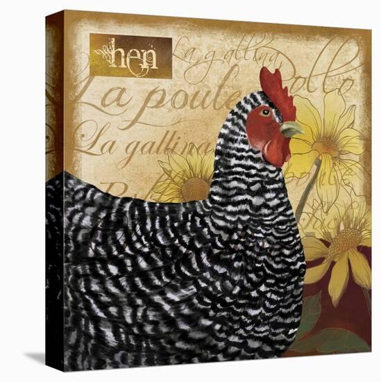 Chicken-Fiona Stokes-Gilbert-Stretched Canvas