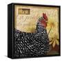 Chicken-Fiona Stokes-Gilbert-Framed Stretched Canvas