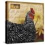 Chicken-Fiona Stokes-Gilbert-Stretched Canvas