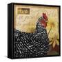 Chicken-Fiona Stokes-Gilbert-Framed Stretched Canvas