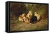 Chickens, 1878-Arthur Fitzwilliam Tait-Framed Stretched Canvas