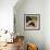 Chickens and Sunflowers-Anuk Naumann-Framed Giclee Print displayed on a wall