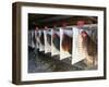 Chickens are Shown in Cages at Whiting Farms in Delta, Colorado, on Thursday, June 8, 2006-John Marshall-Framed Photographic Print