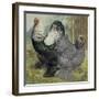 Chickens: Dark Brahmas-Lewis Wright-Framed Art Print