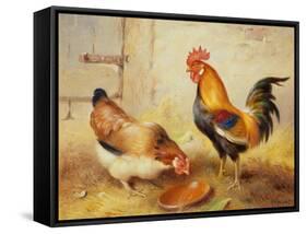 Chickens Feeding, 1920-Walter Hunt-Framed Stretched Canvas