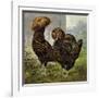 Chickens: Gold Spangled Polish-Lewis Wright-Framed Art Print